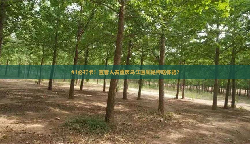 宜春到重庆乌江画廊必去地