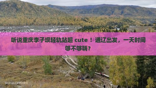 通辽市去重庆李子坝轻轨站一日