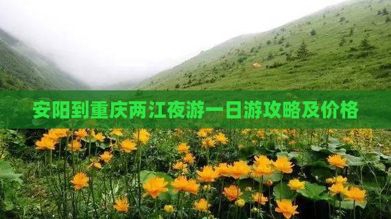 安阳到重庆两江夜游一日