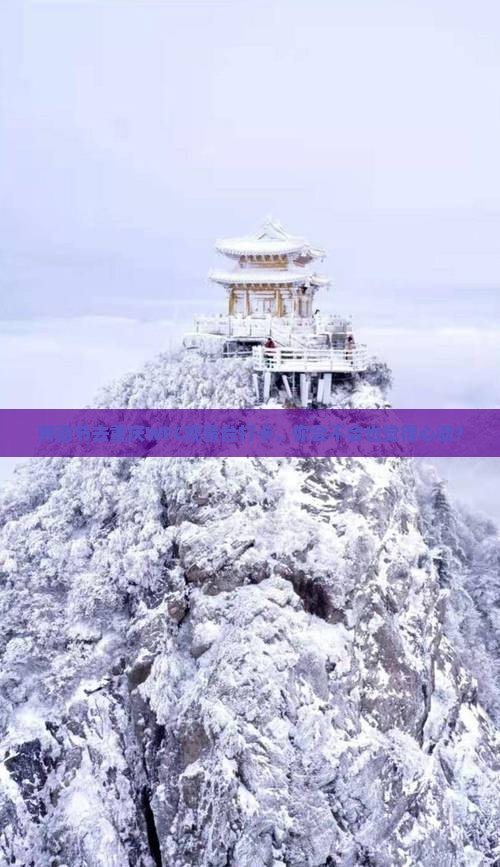劳动节去重庆wfc观景台一日