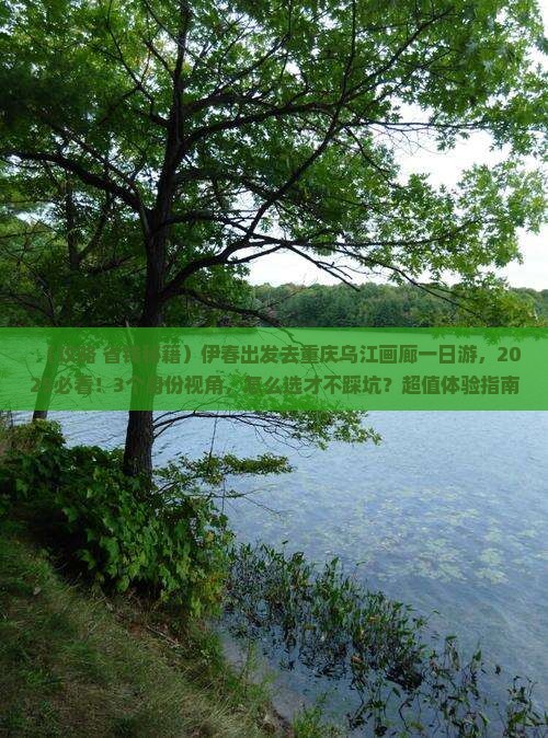 伊春到重庆乌江画廊一日