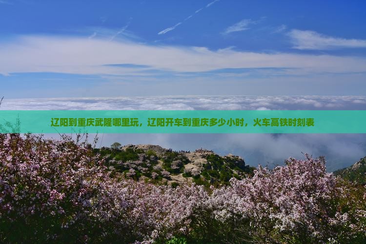 辽阳到重庆武隆哪里玩