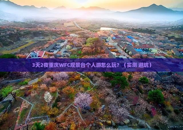 来宾去重庆wfc观景台个人游