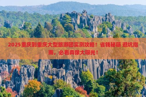 重庆到重庆大型旅游团