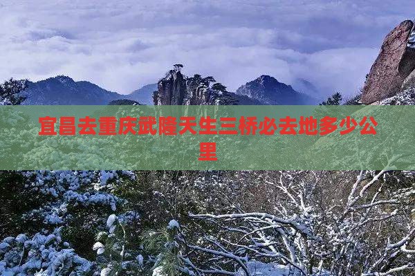 宜昌去重庆武隆天生三桥必去地