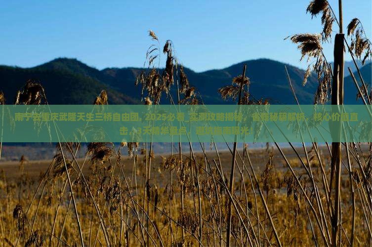 南宁去重庆武隆天生三桥自由团