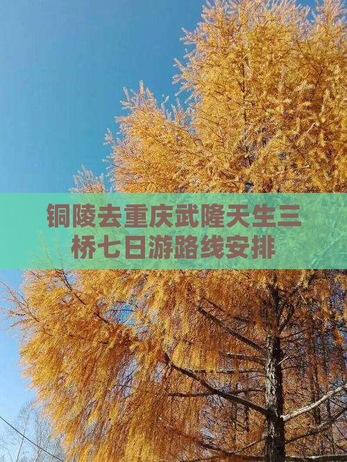 铜陵去重庆武隆天生三桥七日游 铜陵去重庆武隆天生三桥七日游