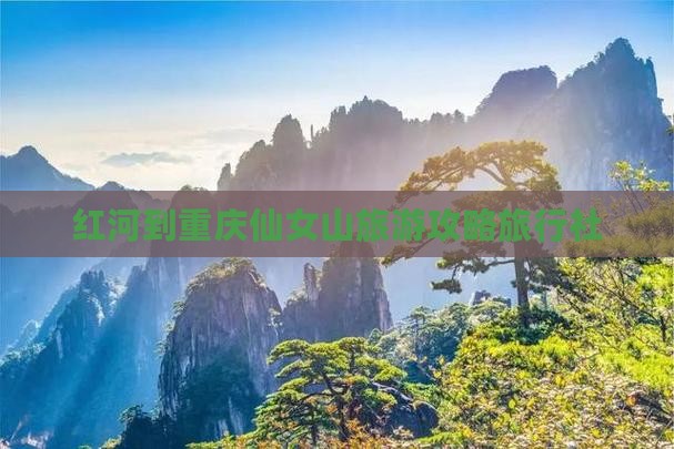 红河到重庆仙女山旅行社