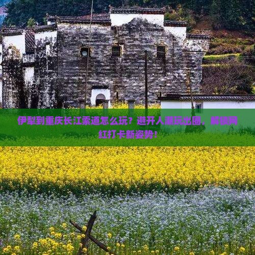 伊犁到重庆长江索道哪里玩
