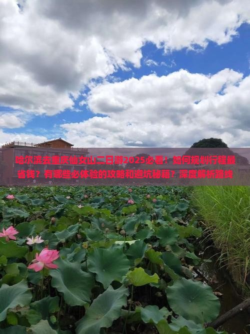 哈尔滨去重庆仙女山二日游