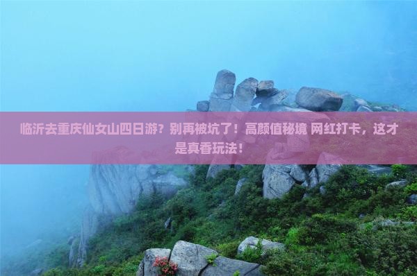 临沂去重庆仙女山四日游