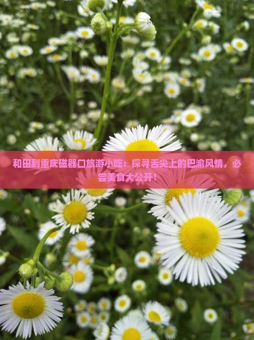 和田到重庆磁器口旅游小吃