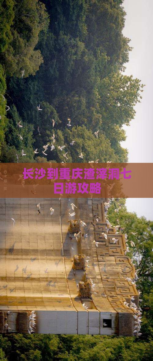 长沙到重庆渣滓洞七日游