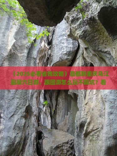 昌都到重庆乌江画廊六日游