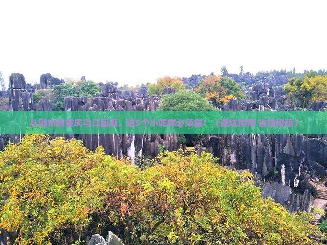 随州到重庆乌江画廊旅游小吃