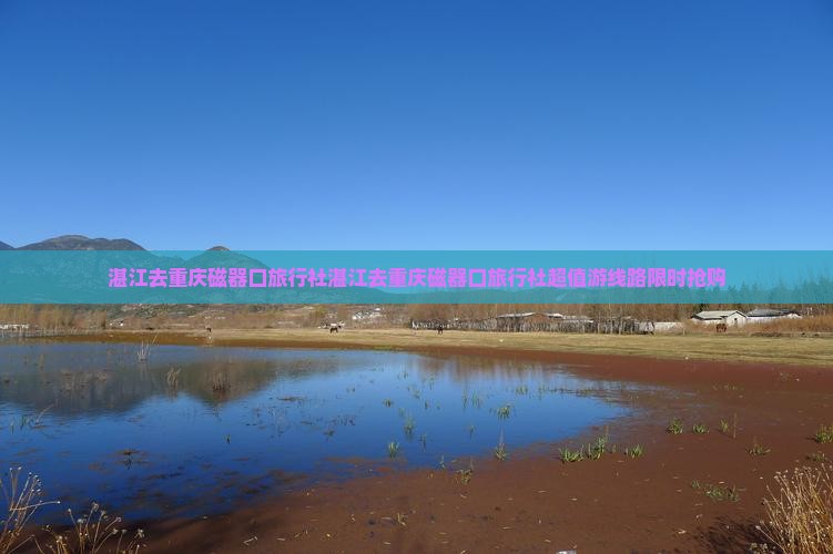 湛江去重庆磁器口旅行社