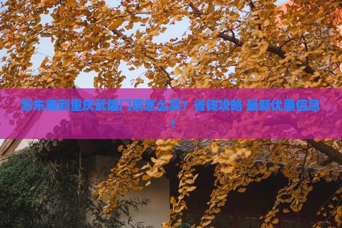 黔东南到重庆武隆门票