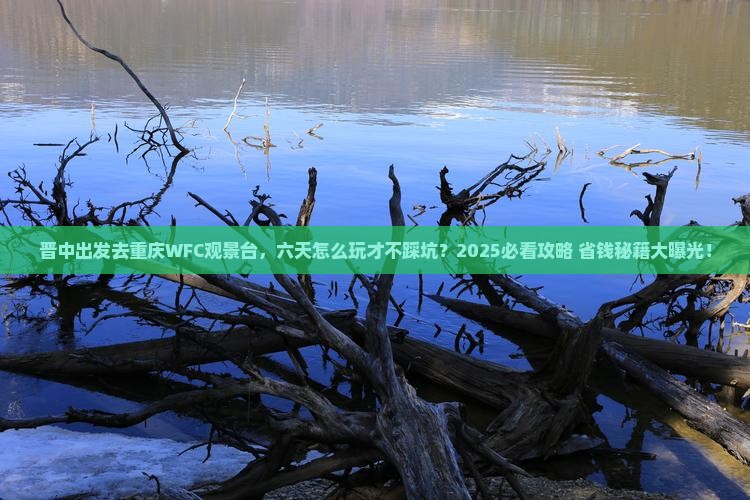 晋中去重庆wfc观景台六日游