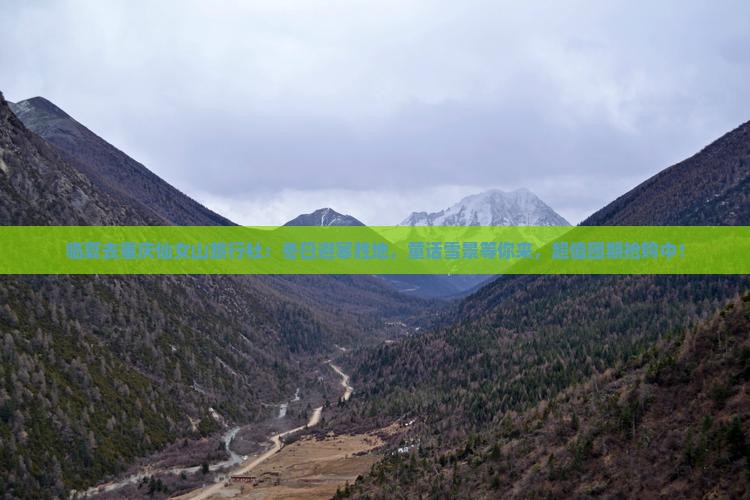 临夏去重庆仙女山旅行社