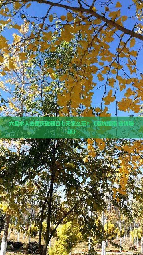 六盘水去重庆磁器口七日游