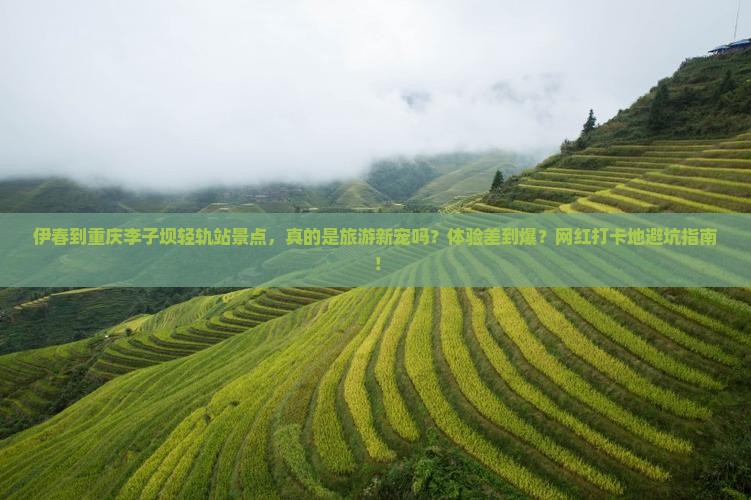 伊春到重庆李子坝轻轨站景点