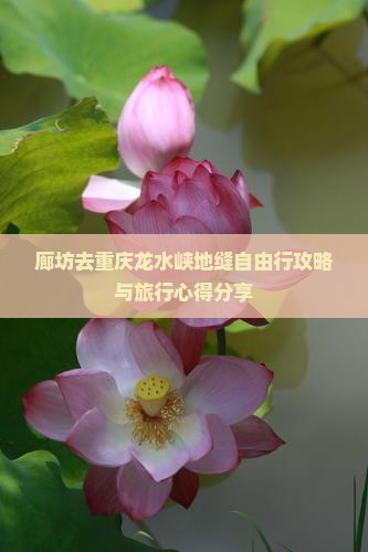 廊坊去重庆龙水峡地缝自由行攻略与旅行心得分享