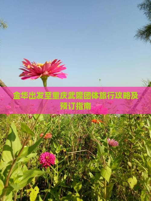 金华出发至重庆武隆团体旅行攻略及预订指南