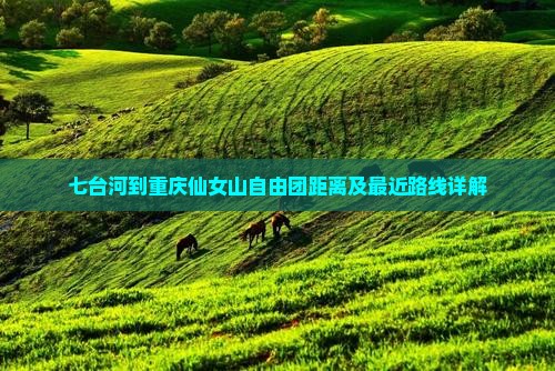 七台河到重庆仙女山自由团距离及最近路线详解