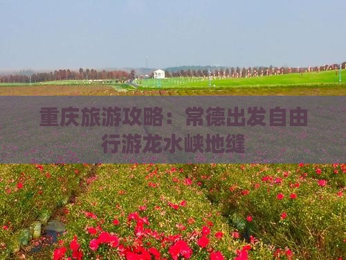 重庆旅游攻略：常德出发自由行游龙水峡地缝