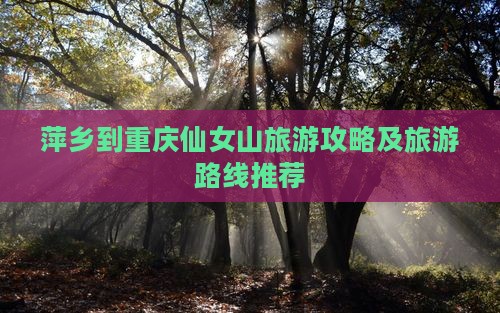 萍乡到重庆仙女山旅游攻略及旅游路线推荐
