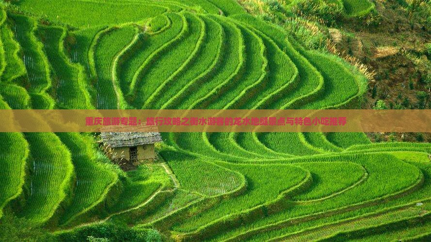 重庆旅游专题：旅行攻略之衡水游客的龙水地缝景点与特色小吃推荐