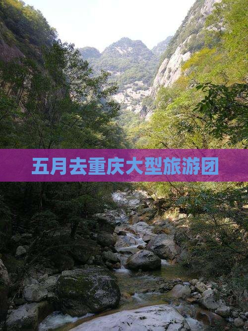 五月去重庆大型旅游团
