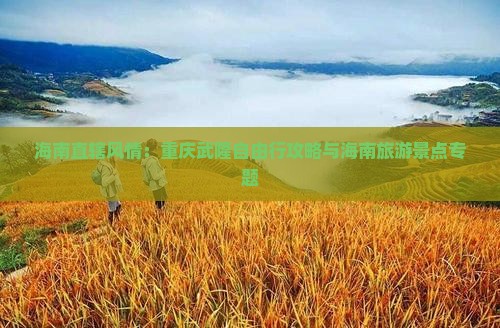 海南直辖风情：重庆武隆自由行攻略与海南旅游景点专题