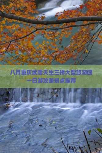 八月重庆武隆天生三桥大型旅游团一日游攻略景点推荐