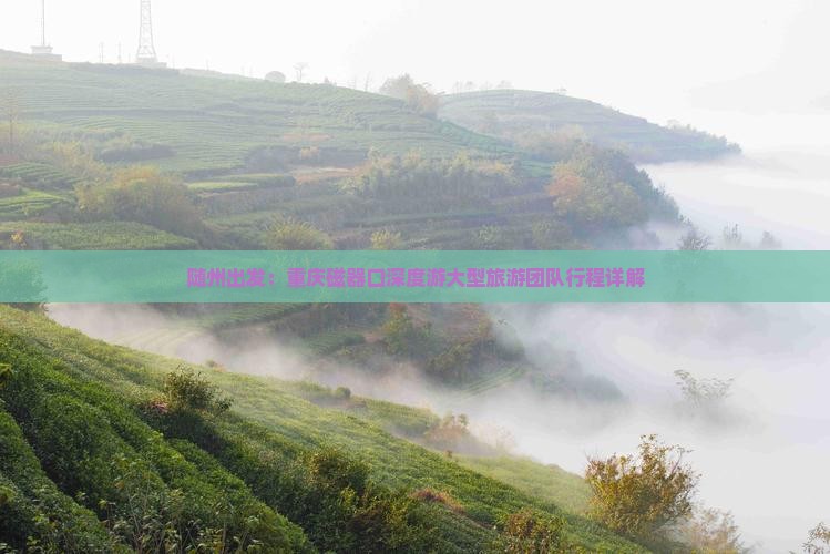 随州出发：重庆磁器口深度游大型旅游团队行程详解