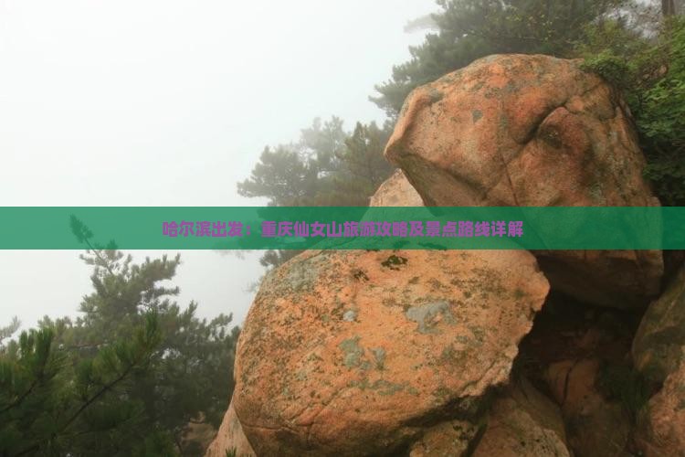 哈尔滨出发：重庆仙女山旅游攻略及景点路线详解