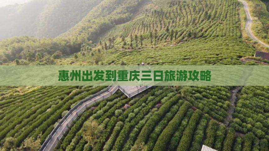 惠州出发到重庆三日旅游攻略