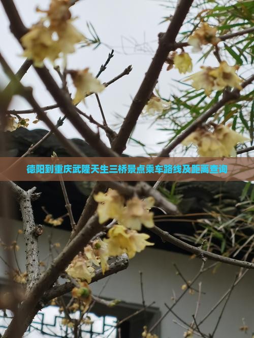 德阳到重庆武隆天生三桥景点乘车路线及距离查询