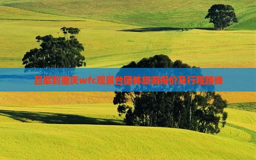 吕梁到重庆wfc观景台团体旅游报价及行程路线