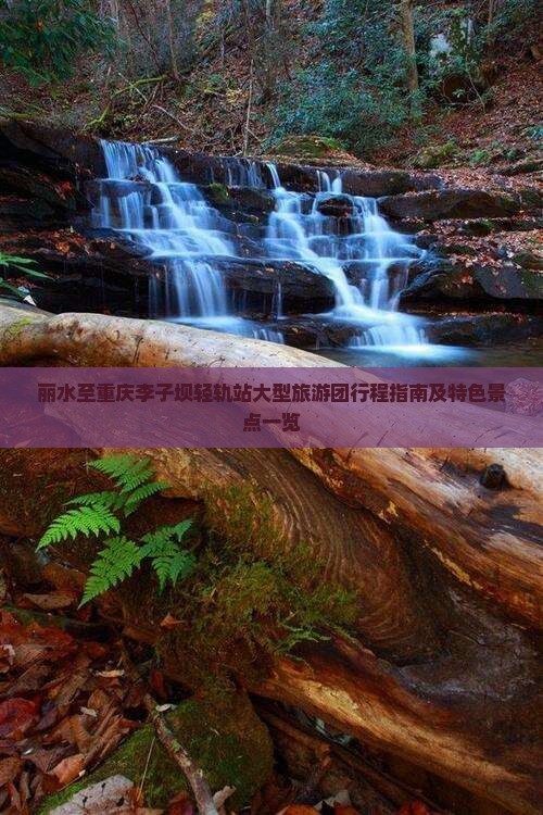 丽水至重庆李子坝轻轨站大型旅游团行程指南及特色景点一览