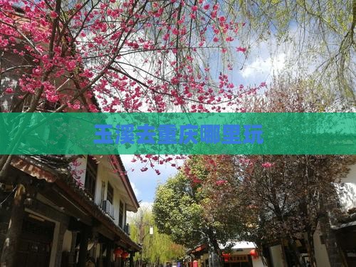 玉溪去重庆哪里玩