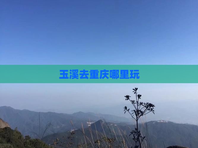 玉溪去重庆哪里玩