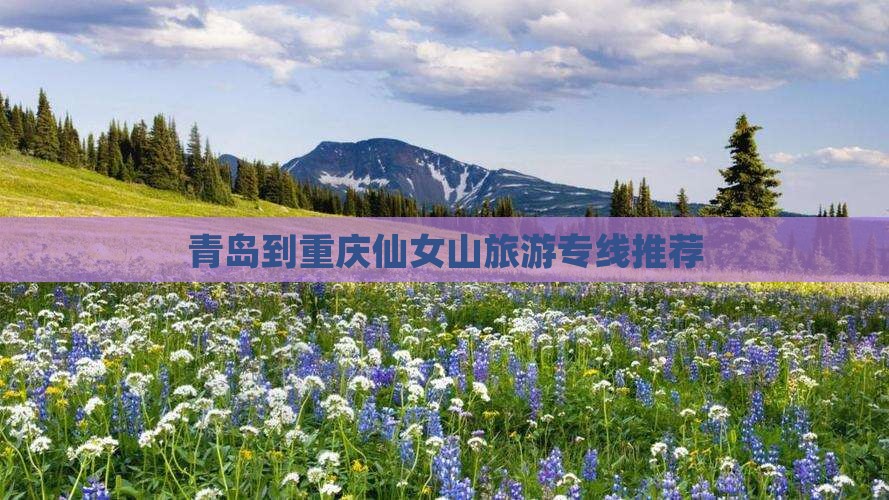 青岛到重庆仙女山旅游专线推荐