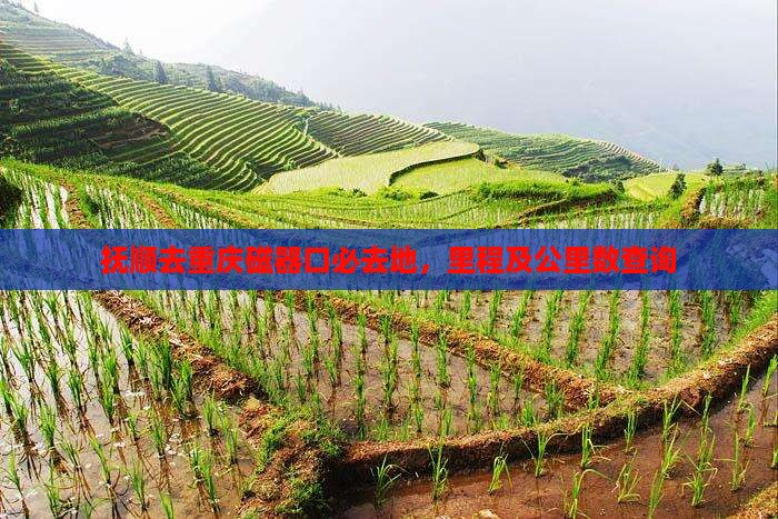 抚顺去重庆磁器口必去地，里程及公里数查询