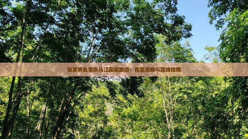 张家界去重庆乌江画廊旅游：完整攻略与路线指南