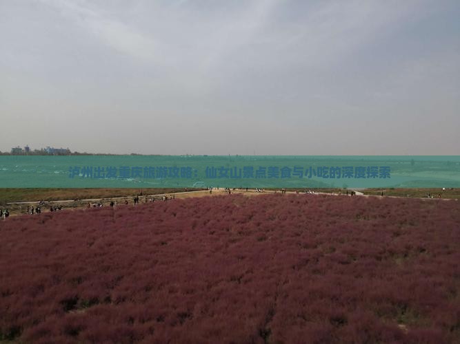 泸州出发重庆旅游攻略：仙女山景点美食与小吃的深度探索