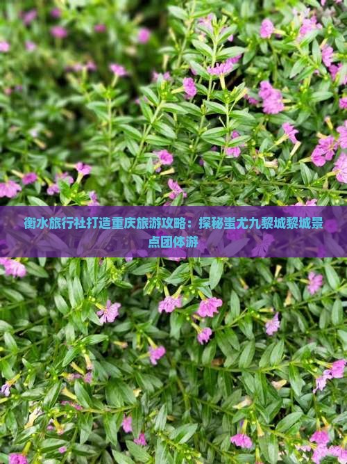 衡水旅行社打造重庆旅游攻略：探秘蚩尤九黎城黎城景点团体游