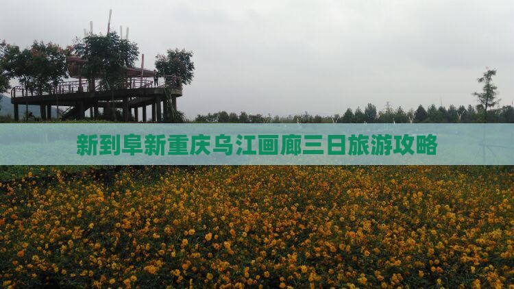 新到阜新重庆乌江画廊三日旅游攻略