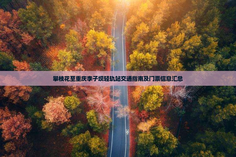 攀枝花至重庆李子坝轻轨站交通指南及门票信息汇总