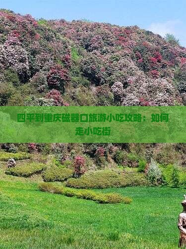 四平到重庆磁器口旅游小吃攻略：如何走小吃街